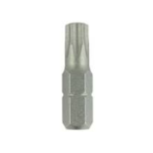 Tx25 Tamperproof Torx Bit